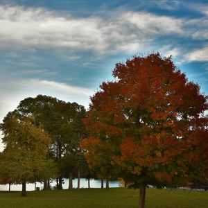 Meet your Posher, Che